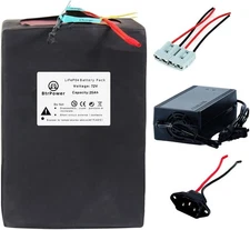 Btr 72V Lithium LiFePO4 Ebike Battery with 5A Charger 50A/80ABMS for 5000W