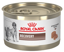 Royal Canin Recovery Soft Mousse in Sauce Canned Cat/Dog Food 5.1 oz, Case of 24 13.07 per gallon