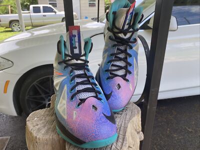 lebron 10 blue and pink