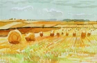 Postcard David Hockney "Harvest Landscape, Midsummer, East Yorkshire" 2004 MNT