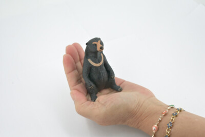 Sun Bear, High Quality, Realistic, Figure, Model, Replica, Toy
