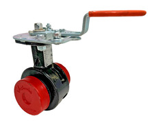 Butterfly Valve VICTAULIC Series 761 2-1/2" Grooved End Connection, Lever Op.