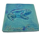 Australian hand painted  ceramic tile with Moaning Frog wall