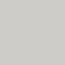 Savage Widetone Seamless Background Paper 60 Focus Gray, 107" x 36'