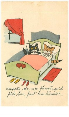 CATS.n°11091.CAT COUPLE IN BED.AUPRES MY DUMP THAT IT'S GOOD TO SLEEP