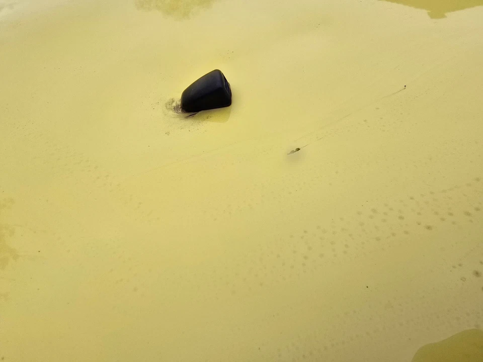 ford ecosport 2017 1.5 - Bild 3 von 4