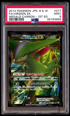 PSA10 ビリジオンEX SR 077/076 BW9
