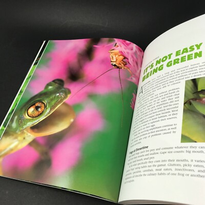 Frogs: A Chorus of Colors; Beautiful Photos & Illustrations; Excellent! 160 pgs