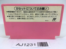 AJ1231 Super Mario USA NES Famicom Japan