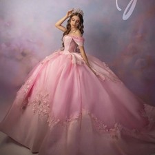 Customized Pink Quinceanera Dresses Sweet 15 Princess Dress Bow Prom Ball Gown