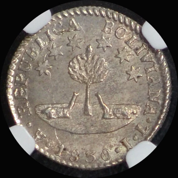 NGC MS64 1830 PTS JL Bolivia Silver 1/2 Sol 6 Point Stars 1 YEAR TYPE KM# 93.2a - Image 4 of 4