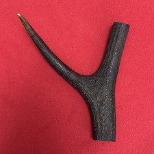 ONE PIECE OF DEER ANTLER, Y SHAPED FOR SLINGSHOTS, WALKING STICKS, ARTS (563)