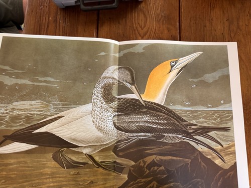 National Audubon Society Birds of America Large Hardcover DJ Baby Elephant Folio - Picture 10 of 17