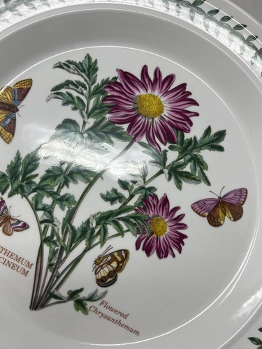 Set Of 3 Portmeirion Botanic Garden Dinner Plates 10.75” - Picture 7 of 15