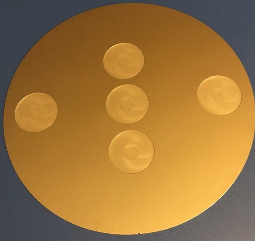 12 Inch Wafer With 5 Of 2 Inch Pocket - Picture 2 of 2