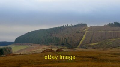 Foto 6x4 Windwurf, Shaw's Hill Hyndhope großer Nadelblock geblasen c2021