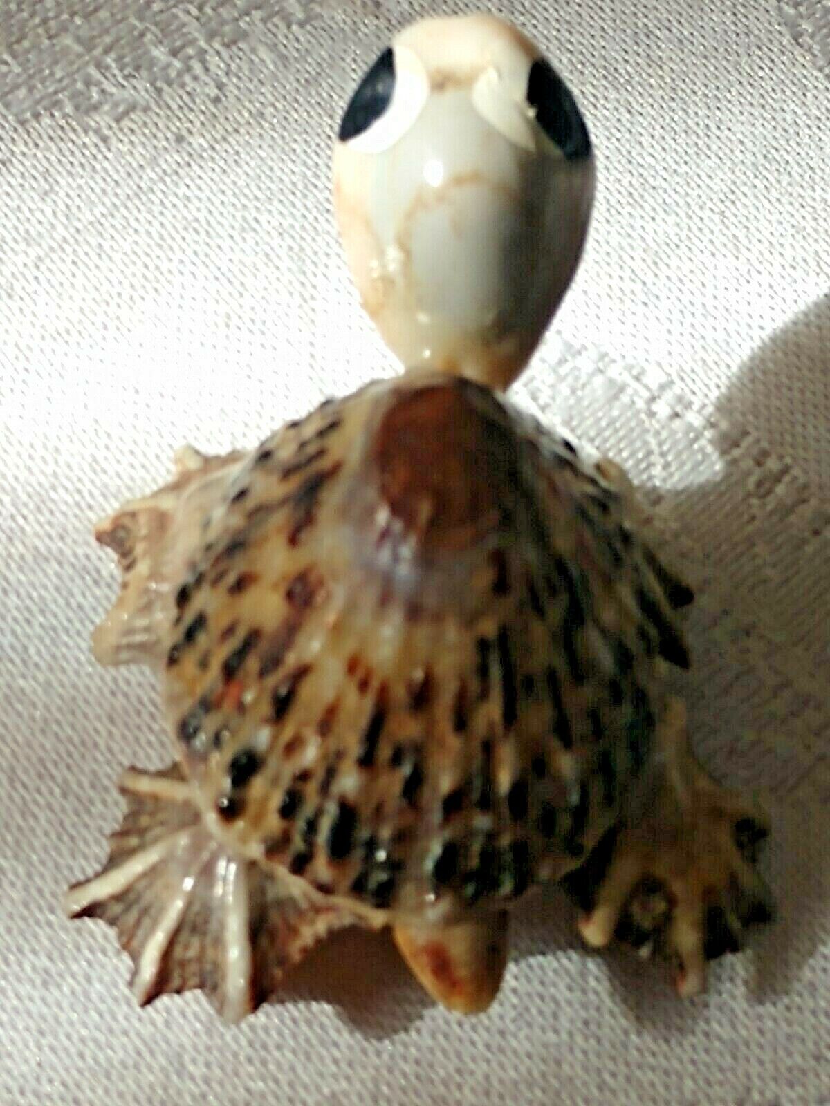 Picture 5 of 12