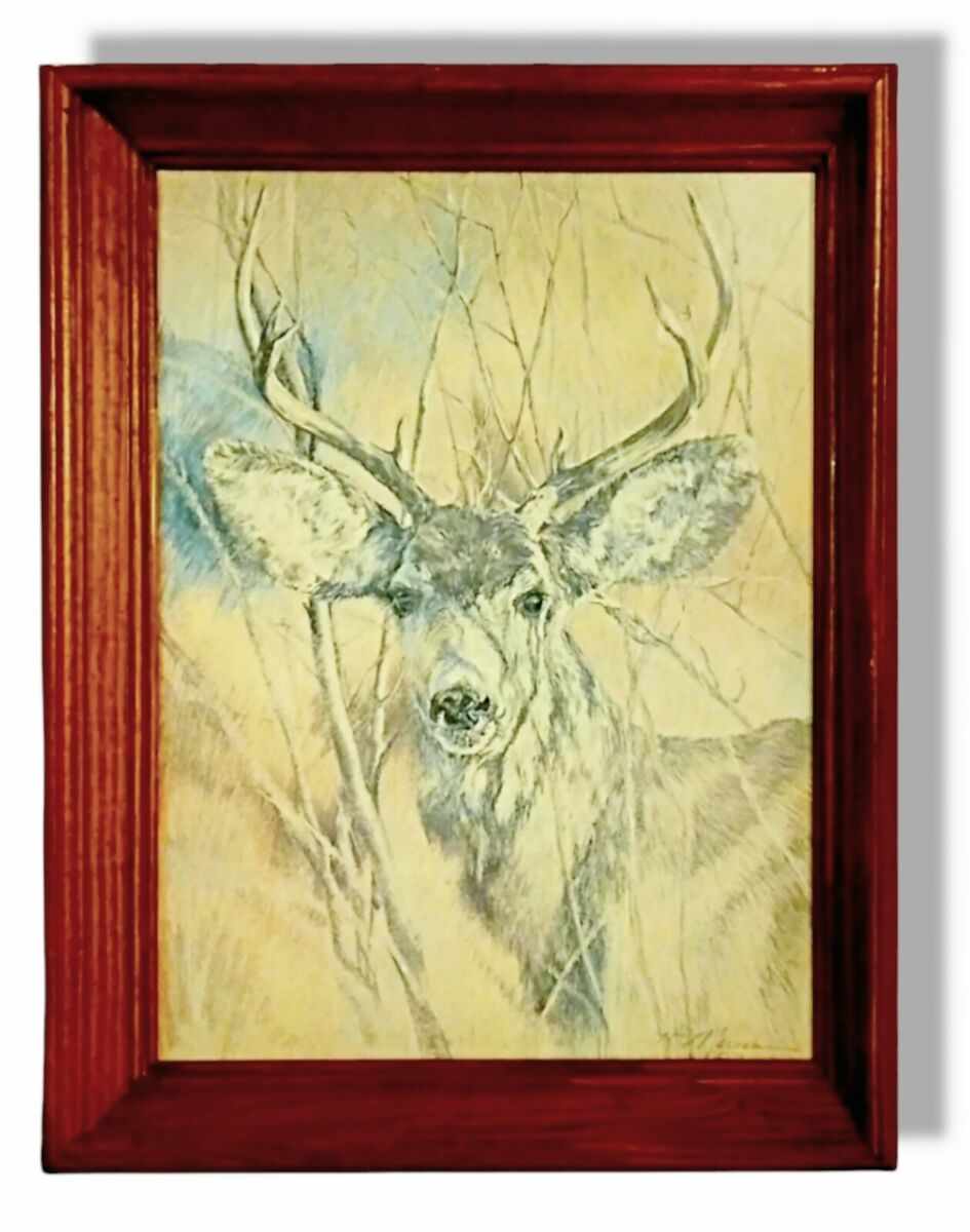 A deer / 鹿 Sika Deer | TheHunter: Call of the Wild Wiki | Fandom