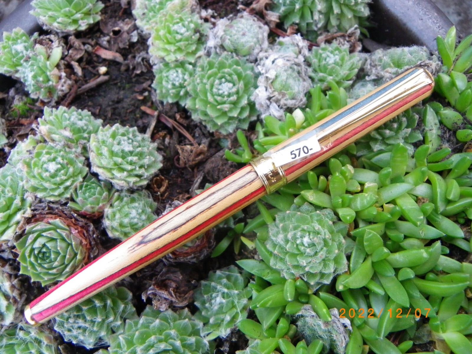 Stylo plume Reden's en bois authentique pour écrire votre journal intime au quotidien