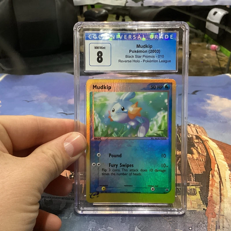 Mudkip