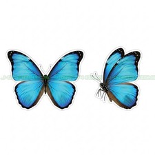 Blue Morpho Butterfly Vinyl Decal Sticker 2 Pack E