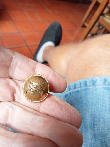 Ancien Bouton De Chasse Chien Dore Laiton 3,5 Cm