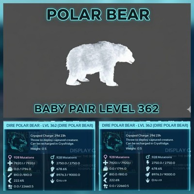 Dire Polar Bear Pair baby [Top Status]  lvl362 Ark Asa Pve Official Crossplay