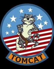 Grumman F-14 Tomcat Logo Die Cut Laminated Vinyl Decal Multiple Sizes