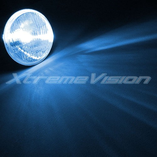 XtremeVision Xenon Replacement Bulbs H7 10K 30K 43K 3K 5K 6K 8K (1 pair) - Picture 7 of 23