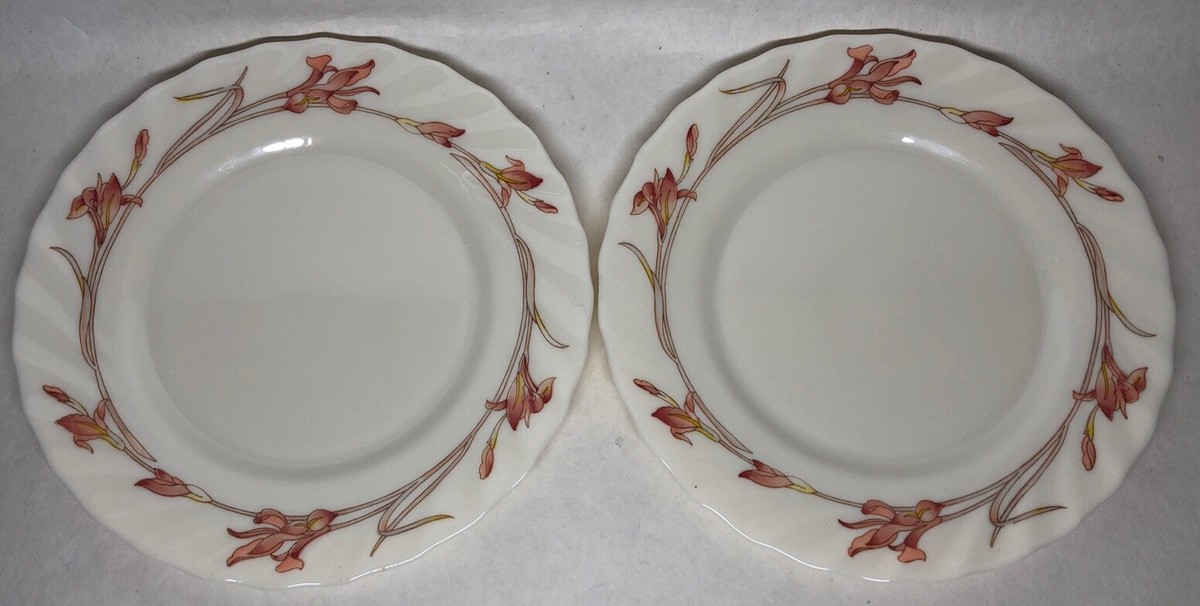 Lot 6 Petites Assiettes Plates Vintage Arcopal France D 19,5 Cm Décor