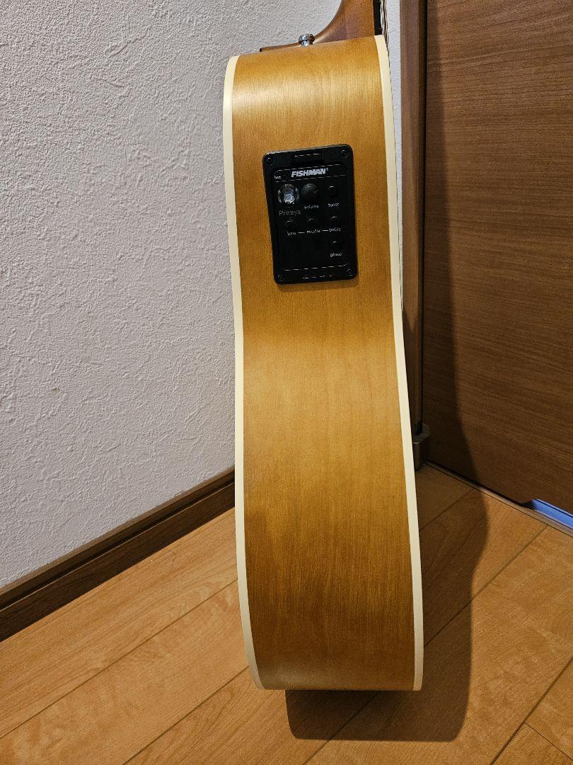 Acoustic Guitar Norman Protege B18 CW Cedar Presys Natural S