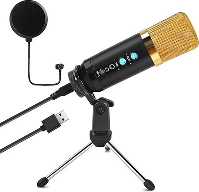 BEEDOVE SENSITIVE TONABNEHMER PURE SOUND USB KONDENSATOR MIKROFON PROFI