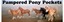 Pampered Pony Pockets