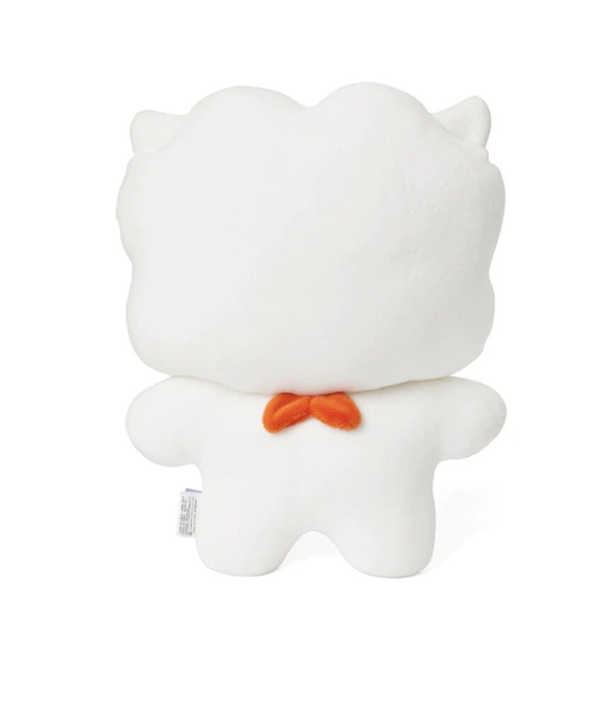 BTS Official Line Friends BT21 RJ Jin minini Buddy FLAT CUSHION