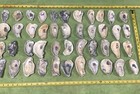 Lot of  44 Atlantic Oyster Shells 3.5 To 5 Inches Long Craft Art Collect ￼ — photo 4