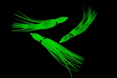 10 x 10 cm Super Lumo Calamar Señuelos Caballa Bajo Bacalao Barco Marino Playa Muelle Pesca - Imagen 3 de 3