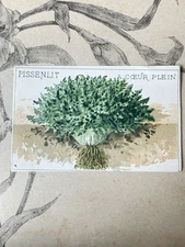 Chromo Label Antique Vegetable Vilmorin Dandelion Horticulture Catalog