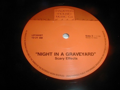 Night In Graveyard HAUNTED HOUSE Italy LP 1985 Halloween Scary Sound Effects - Picture 6 of 8