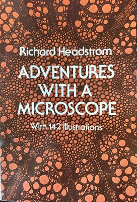 Adventures with a microscope, activities & exciting things to do with microscope