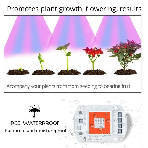Full spectrum LED lamp 20W-50W COB LED with lens Smart IC Driver 220V,110V - Picture 6 of 20