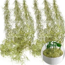 SEEKO Succulents Spanish Moss, Fake Moss for Artificial  Assorted Sizes 