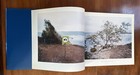 Foto 10 di 11