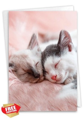 NobleWorks Anniversary Card Cuddling Cats 5x7'' with Envelope