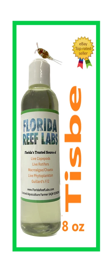 LIVE Copepods (Tisbe Biminiensis) - 8oz - Florida Reef Labs® - FAST SHIPPING!