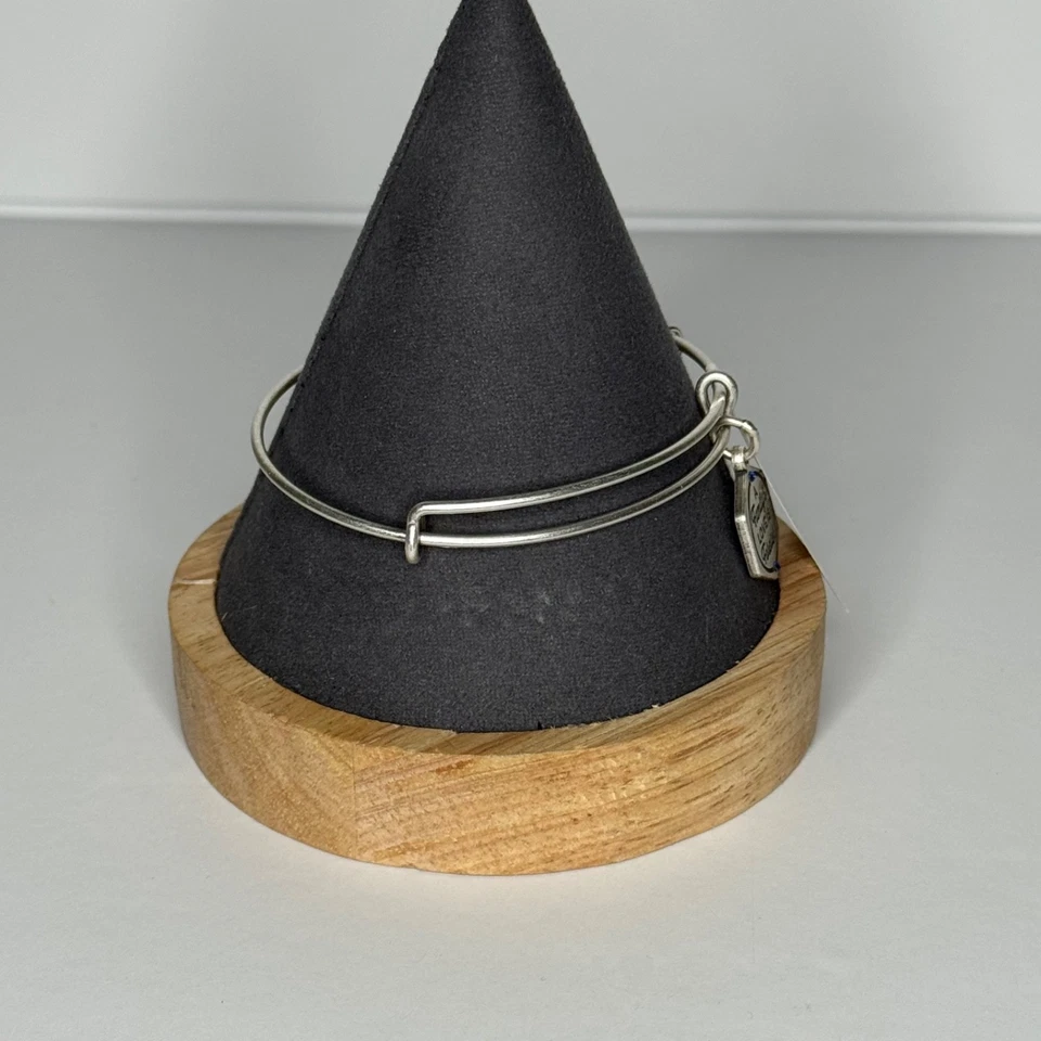 Brazalete Alex and Ani Love NUEVO CON ETIQUETAS A Family’s Love is Forever tono plateado Foto 4 de 4