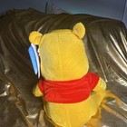 Disney Winnie the Pooh Plush Stuffed Animal Medium 14-24 in (2024) MPN 29164 — photo 6