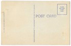 2 Vintage Postcards: Any Day Is Fish Day and They Don't Go For My Line — photo 4