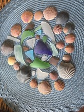 Genuine Surf-tumbled Sea Glass and Sea Shells Beautiful OBX Beach Lot    
