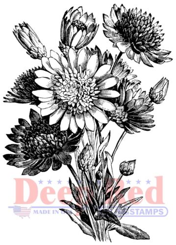 Deep Red Stamps Xeranthemum Rubber Cling Stamp - Picture 1 of 4