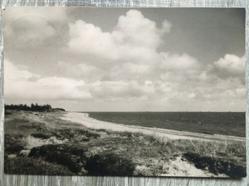 AK Föhr Insel Wyk Küste Strand Nordsee Dünen Strandhafer unbebaut 1958 | 2458 - Bild 1 von 2